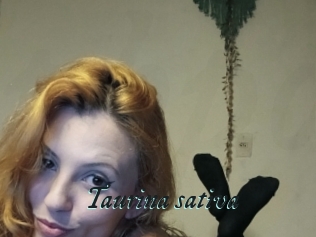 Taurina_sativa