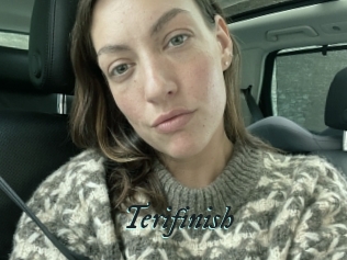 Terifinish