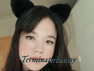 Terminatorbunny