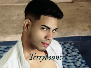 Terrybounce