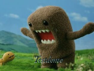 Testdomo