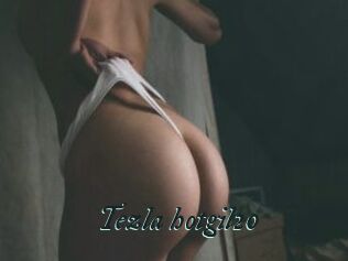 Tezla_hotgil20