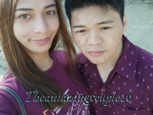 Theamazingcouple20