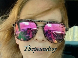 Thepoundtoy