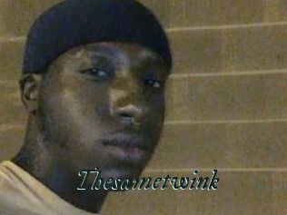 Thesametwink