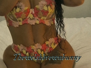 Thewelshbrownbunny
