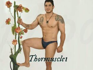 Thormuscle1
