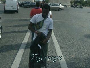 Tigrenegro