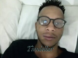 Timdollar
