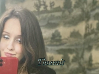 Tinamit