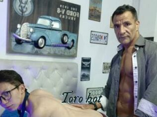 Toro_hot