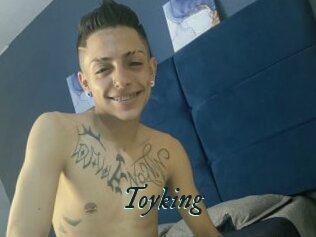 Toyking