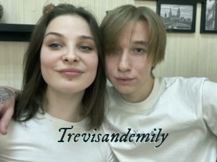 Trevisandemily