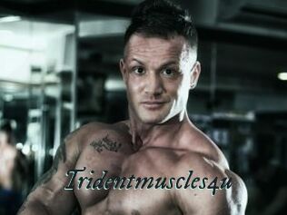 Tridentmuscles4u
