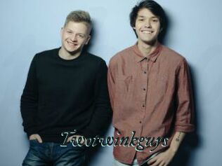 Twotwinkguys