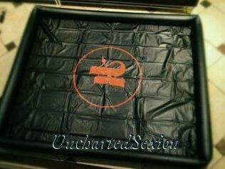 UnchartedSexion