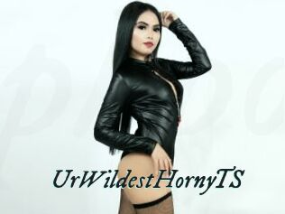UrWildestHornyTS