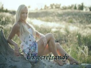 Ursecretsandy