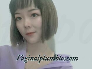 Vaginalplumblossom