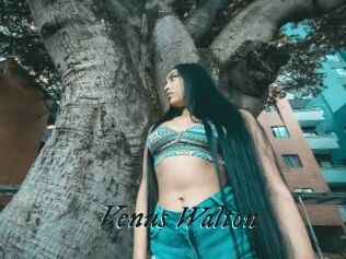 Venus_Walton