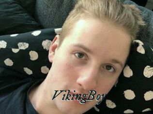 VikingBoy