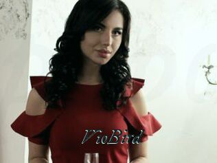 VioBird