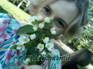 ViolaCamomile