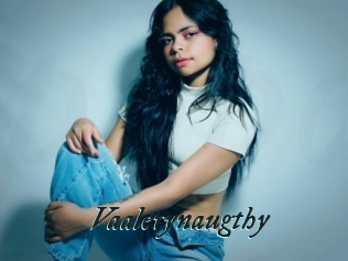 Vaalerynaugthy