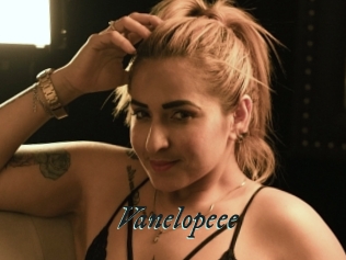 Vanelopeee
