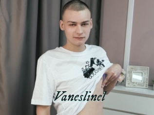 Vaneslinel