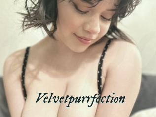 Velvetpurrfection