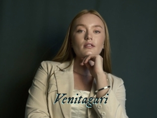 Venitagari
