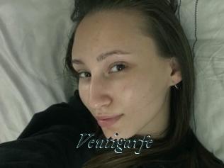 Ventigarfe
