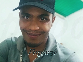 Vergonx30