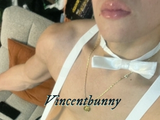 Vincentbunny