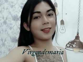 Virgendemaria