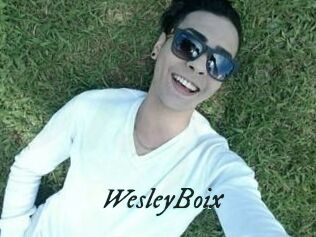 Wesley_Boix
