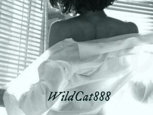 WildCat888