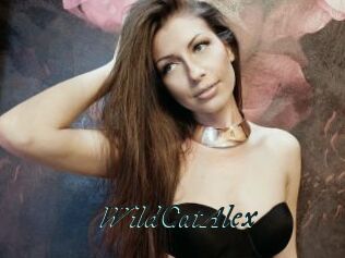 WildCatAlex