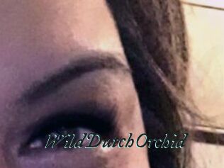 WildDutchOrchid