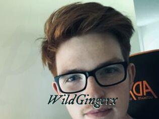 WildGingerx