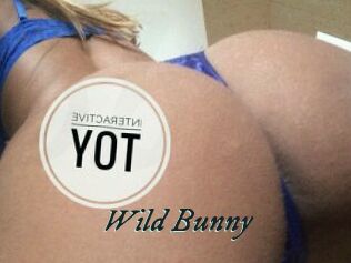 Wild_Bunny_