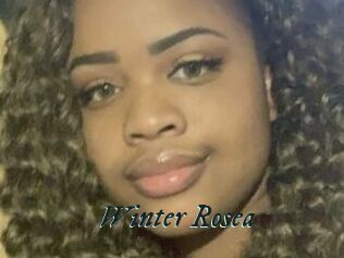 Winter_Rosea