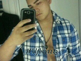 Wolfboy1213