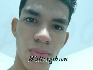 Waltergibson