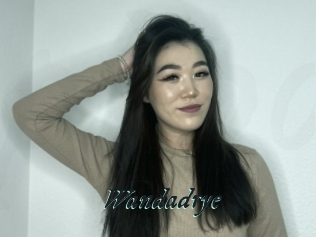 Wandadrye