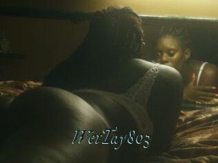 WetTay803