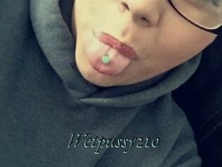 Wetpussy210