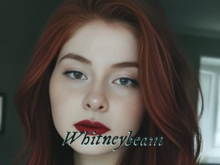 Whitneybeam