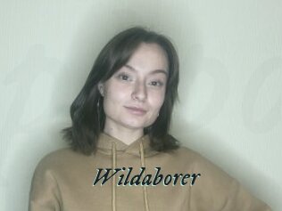 Wildaborer